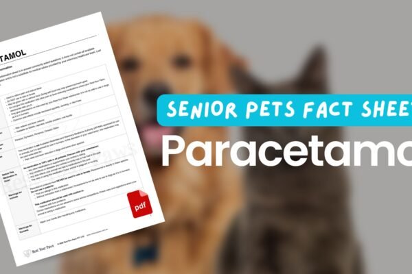 Paracetamol Dose for 20kg Dog