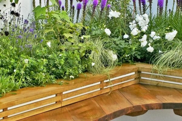 all year-round plants for raised beds uk