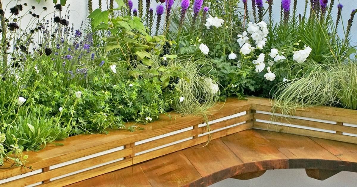 all year-round plants for raised beds uk all year-round plants for raised beds uk